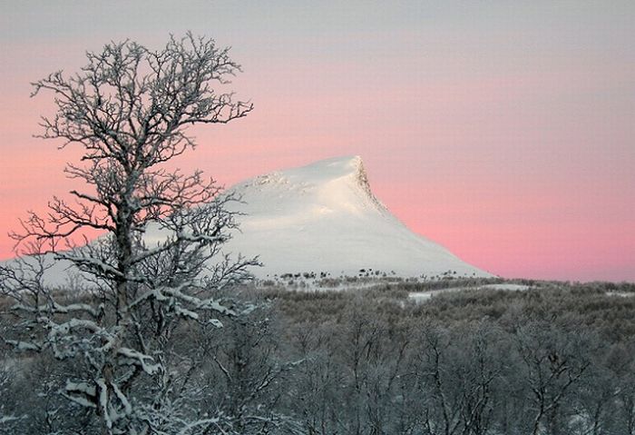 Acid Picdump (114 pics)