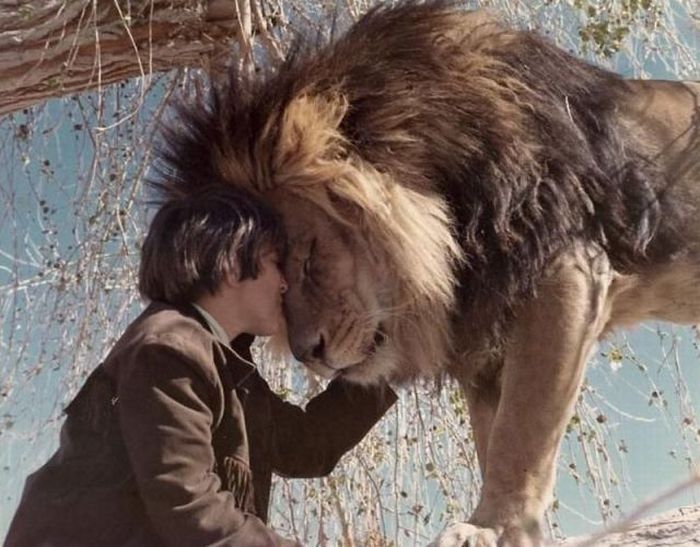 Acid Picdump (114 pics)