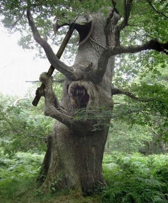 Acid Picdump (114 pics)