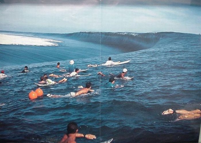 Acid Picdump (112 pics)