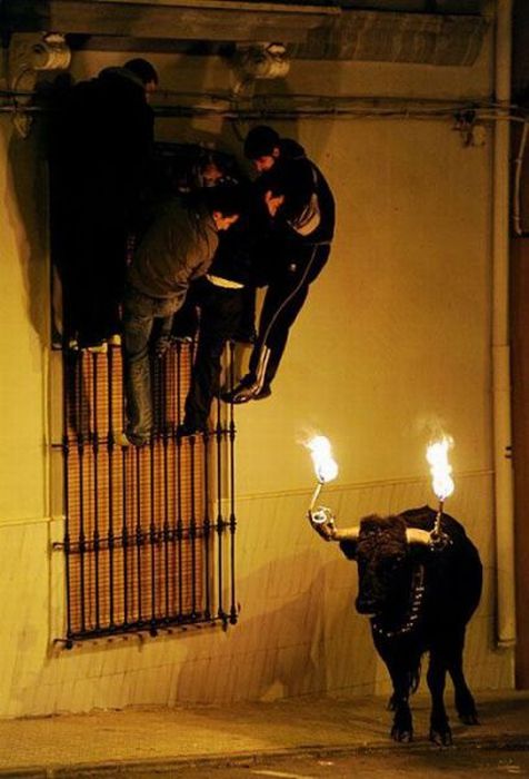 Acid Picdump (112 pics)
