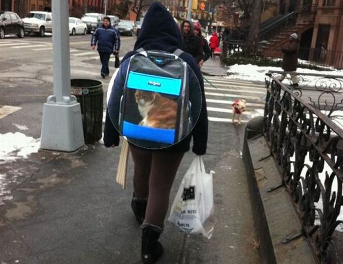 Acid Picdump (112 pics)