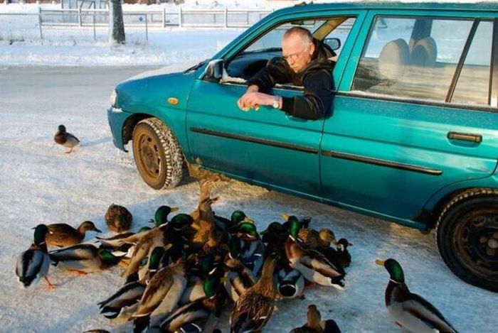 Acid Picdump (112 pics)