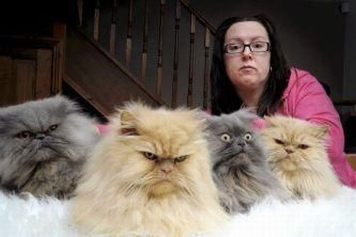 Acid Picdump (112 pics)