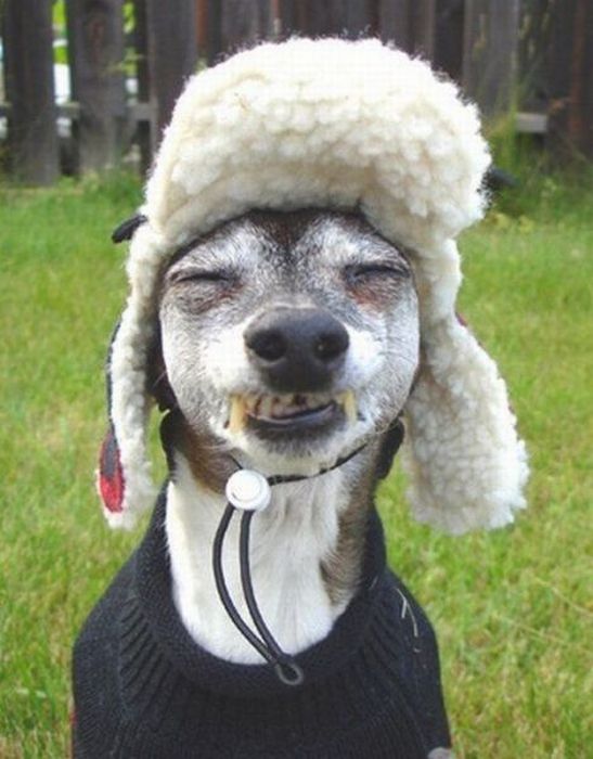 Acid Picdump (112 pics)