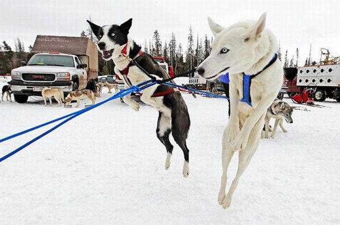 Acid Picdump (112 pics)