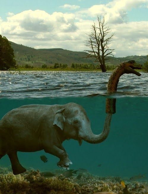Acid Picdump (112 pics)
