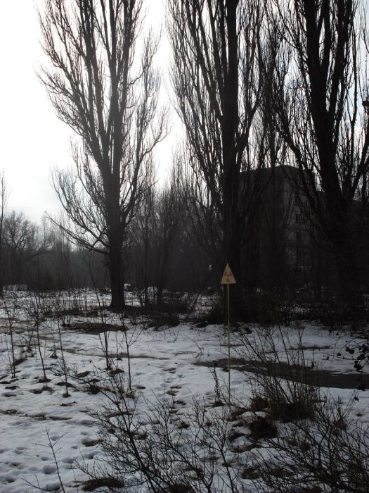 Chernobyl in Winter (30 pics)
