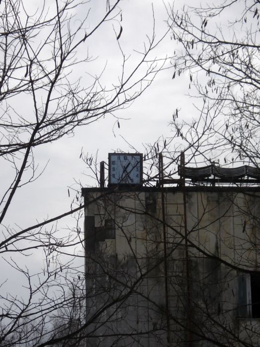 Chernobyl in Winter (30 pics)