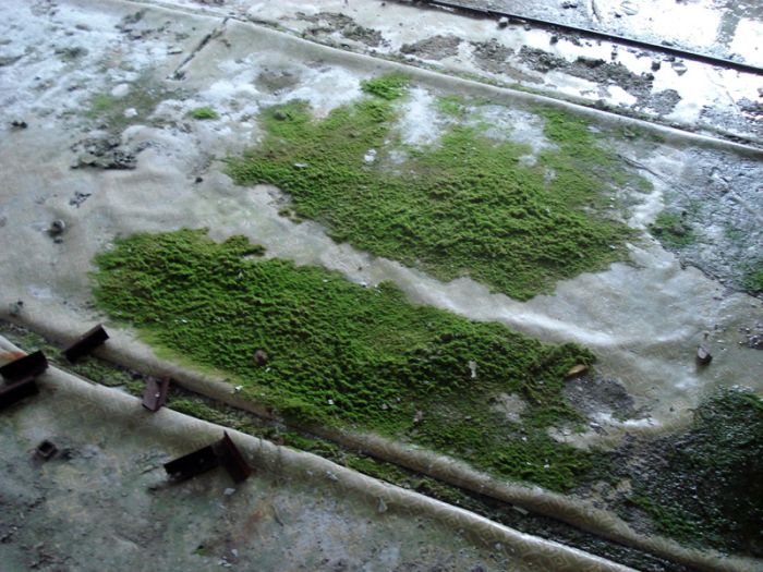 Chernobyl in Winter (30 pics)