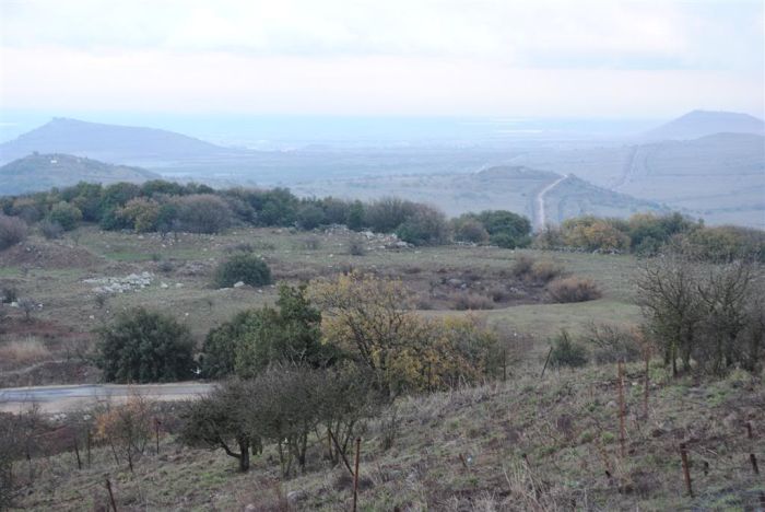 Golan Heights (21 pics)