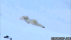 The Best Gif Animations of the Week (20 gifs)