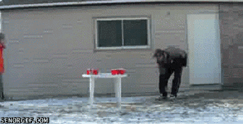 The Best Gif Animations of the Week (20 gifs)