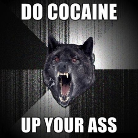 Cocaine Animals (27 pics)