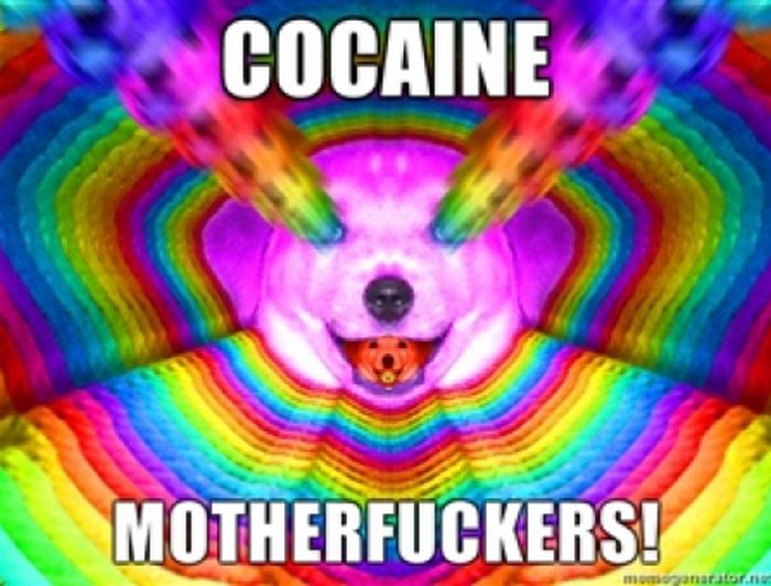 Cocaine Animals (27 pics)