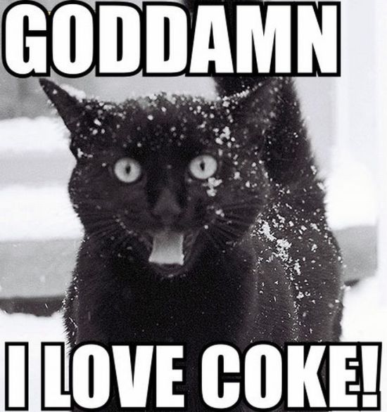 Cocaine Animals (27 pics)