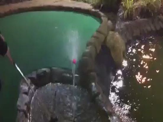 Greatest Putt-Putt Shot of All Time