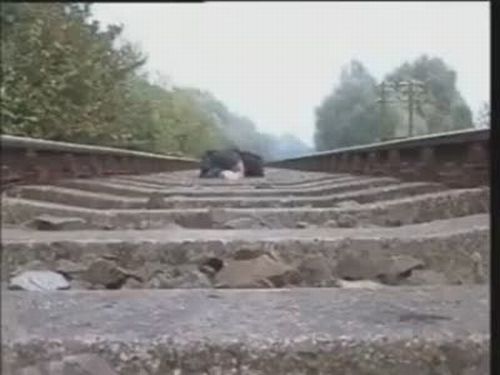 Insane Man Films Train Rolling Over Him