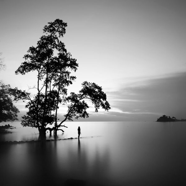 Black and White Ocean and Land Photographs (16 pics)