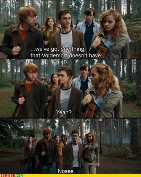 Harry Potter and the Macros (24 pics)