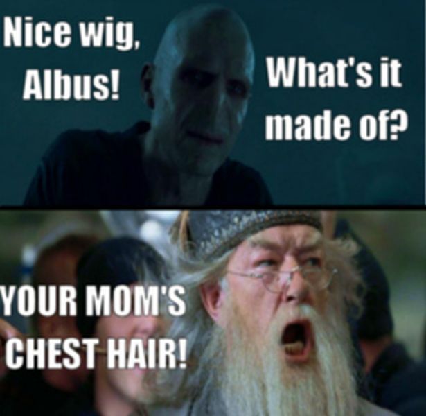 Harry Potter and the Macros (24 pics)