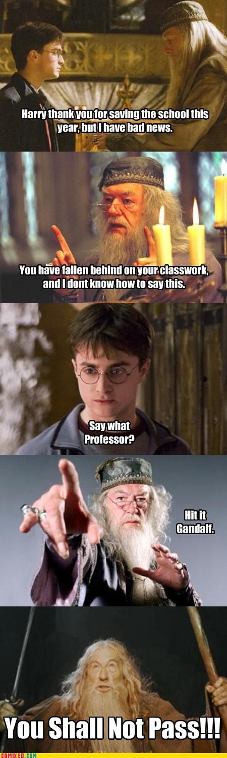 Harry Potter and the Macros (24 pics)