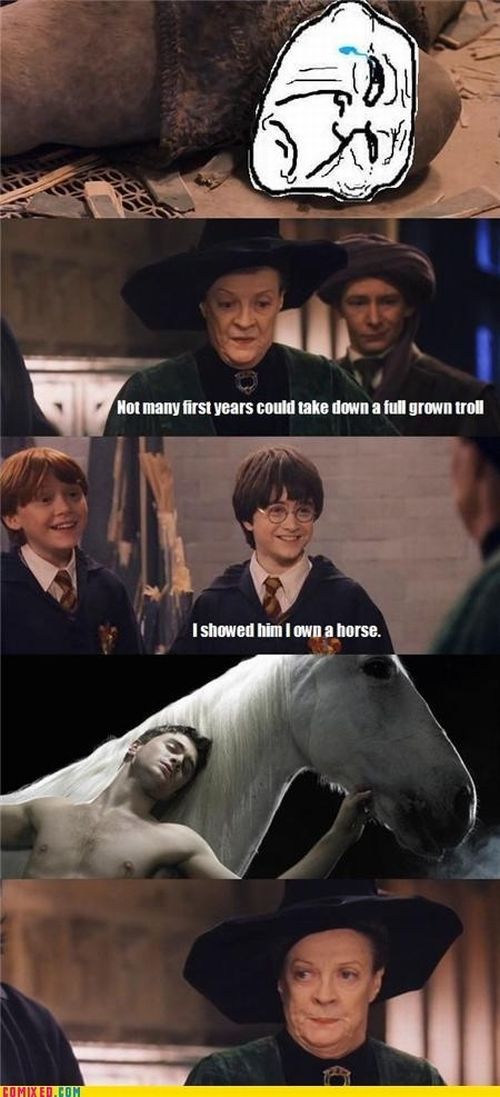 Harry Potter and the Macros (24 pics)