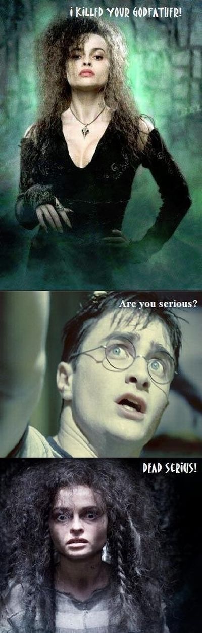 Harry Potter and the Macros (24 pics)