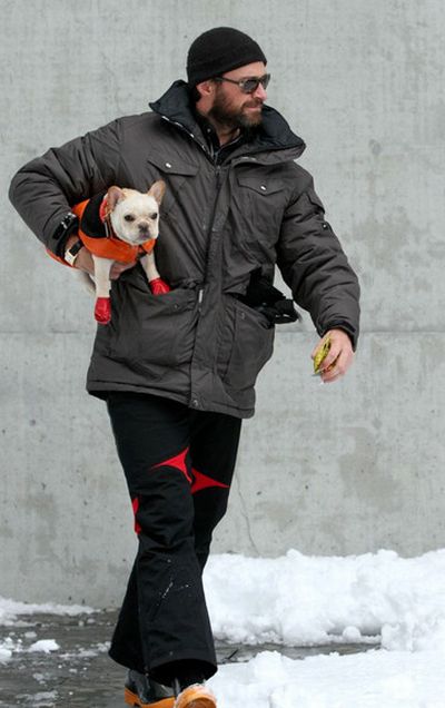 Hugh Jackman and His French Bulldog, Peaches (24 pics)
