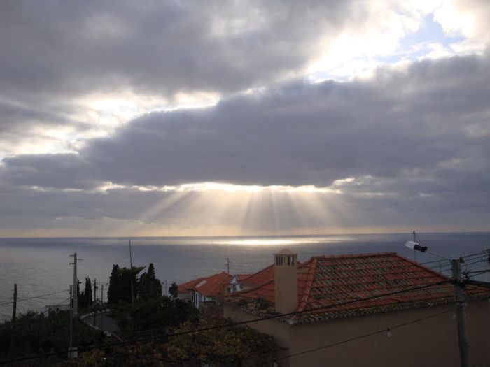 Mysterious Madeira (9 pics)