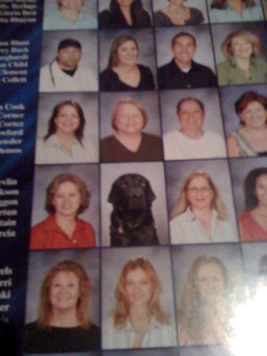 Acid Picdump (100 pics)