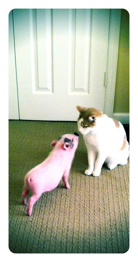 Acid Picdump (100 pics) Acid Picdump (100 pics)