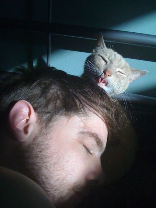 Acid Picdump (100 pics)