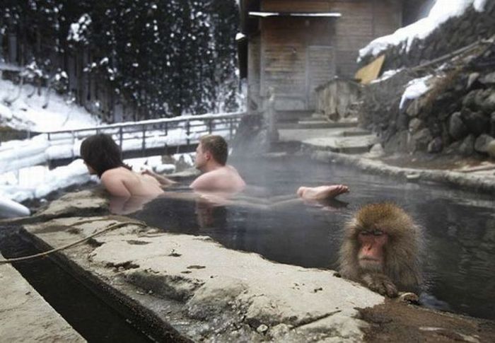 Acid Picdump (100 pics)