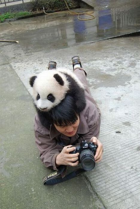Acid Picdump (100 pics)