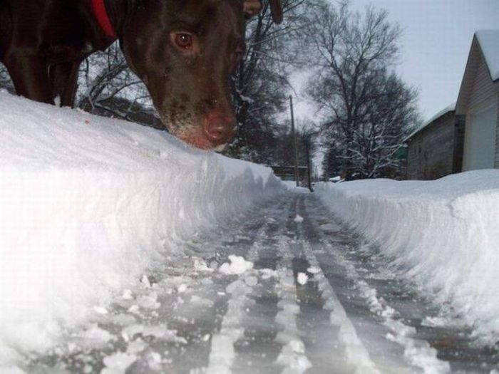 Acid Picdump (100 pics)