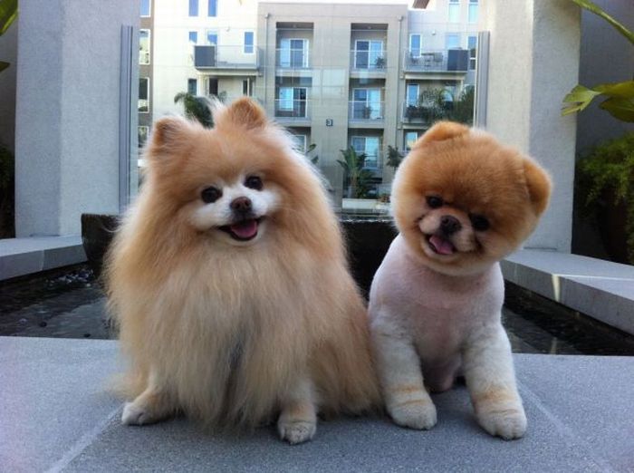 Acid Picdump (100 pics)
