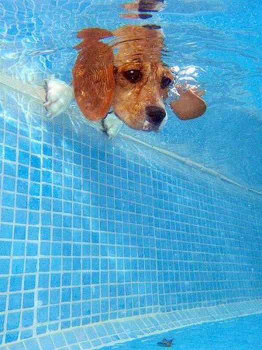 Acid Picdump (100 pics)