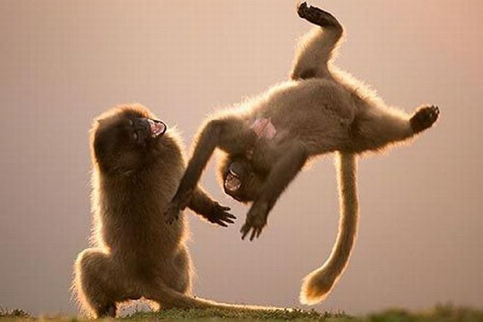 Acid Picdump (100 pics) Acid Picdump (100 pics)