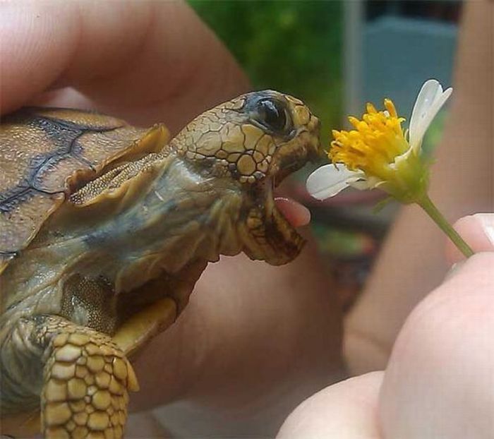 Acid Picdump (100 pics)