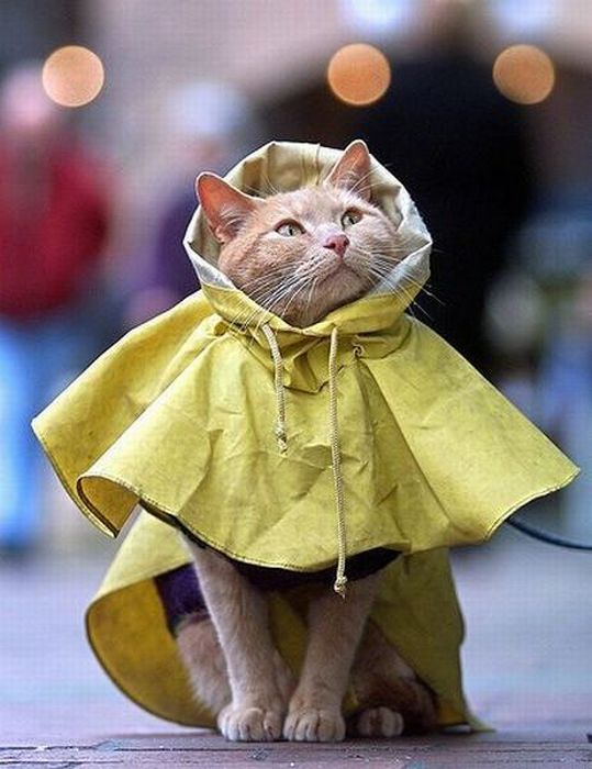 Acid Picdump (100 pics)
