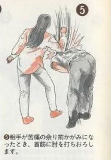 Asian Art of Self-Defense (8 pics)