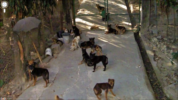 Interesting Images Found on Google Street View (52 pics)