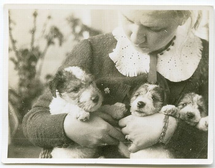Retro Photos of People with Dogs (21 pics)