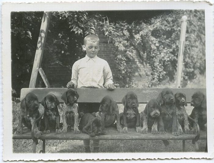 Retro Photos of People with Dogs (21 pics)