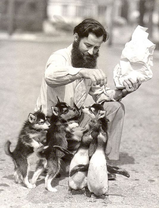 Retro Photos of People with Dogs (21 pics)