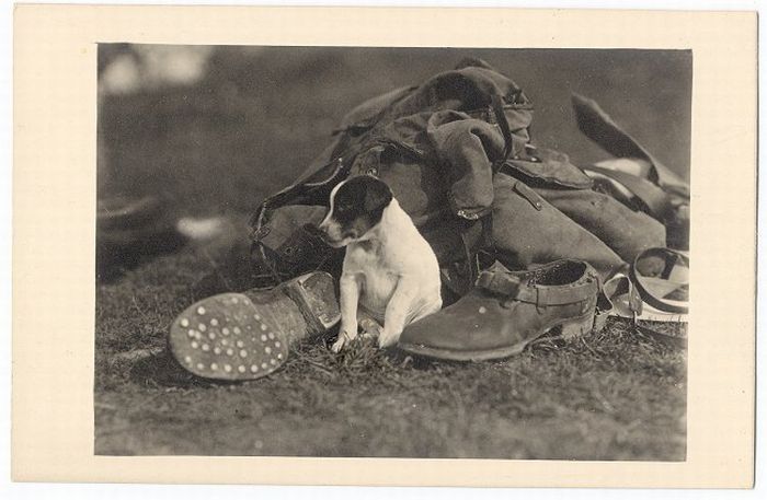 Retro Photos of People with Dogs (21 pics)