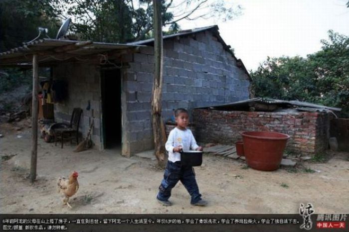 A Six-year-old Chinese Outcast (15 pics)