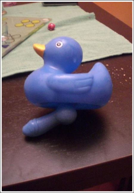 Duck with a Dick (9 pics)