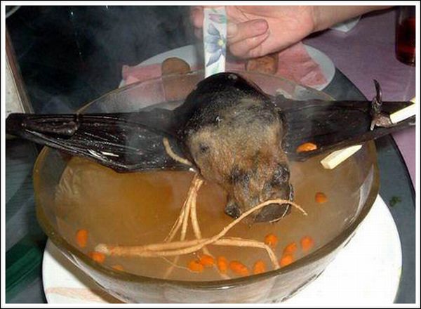 Delicious Bat Soup (11 pics)